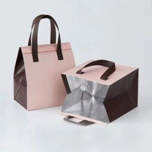 Customizable Takeaway Thermal Cooler Bag BCCB07