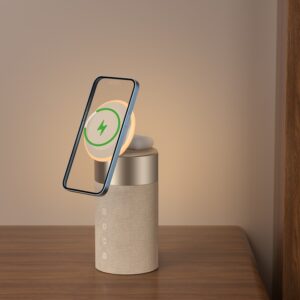 5-in-1 Portable Speaker & Wireless Charging Station EGBS10