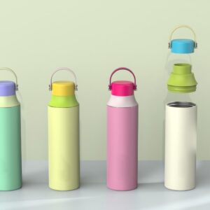 20oz 304 Stainless Steel Bottle with PP Carry Cap SSTB02