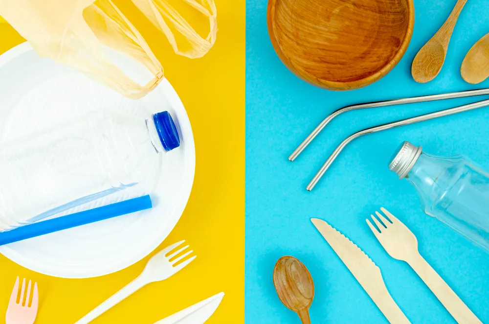 reusable vs disposable