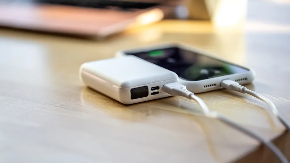 portable chargers vs power banks