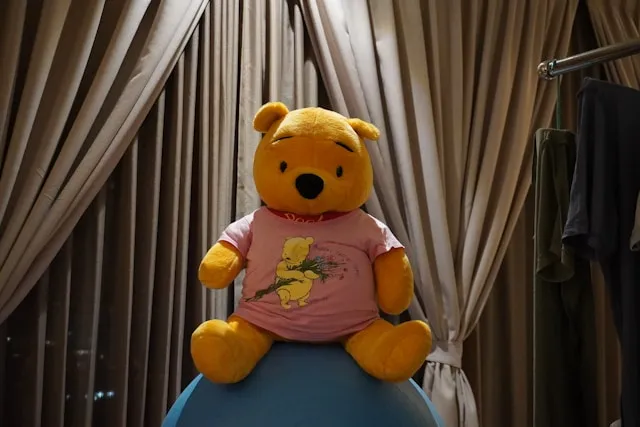 guide to plush bear with tshirt